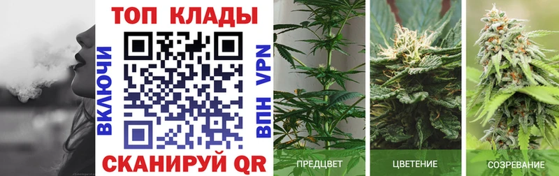 Где можно купить наркотики Александровск-Сахалинский Галлюциногенные грибы Гашиш Марихуана Амфетамин